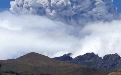 Prepara a tu mascota para una posible erupción