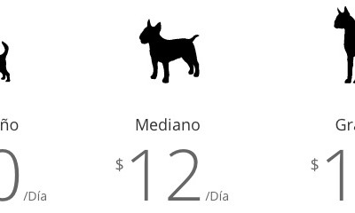 Feriado de Carnaval: ¡reserva ya el hotel para tu perro!