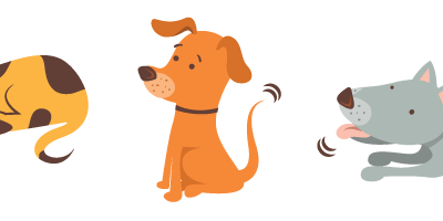 Comportamientos e instintos del perro (Parte 2)