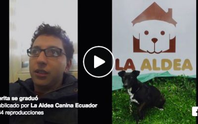 Nuestra escuela para perros rescatados en Quito
