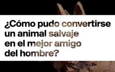 El origen del perro y de sus razas