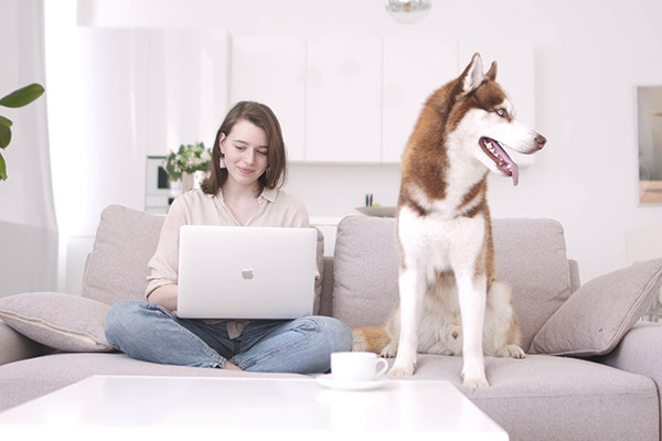 Aldea Canina | Quito-Ecuador | Adiestramiento Canino - Curso virtual