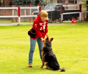 La Verdad Sobre los Perros de Servicio: Evaluación, Entrenamiento y Ética
